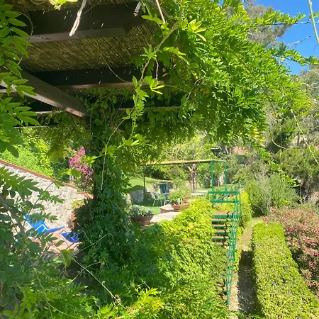 Alcado Villa Copanello